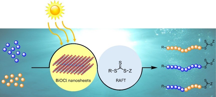 This work investigates BiOCl-mediated photopolymerization of methyl acrylate, 2-hydroxyethyl acrylate, oligo(ethylene glycol) methyl ether methacrylate, and 4-acryloylmorpholine and N,N-dimethylacrylamide under simulated solar irradation. BiOCl can facilitate photoinduced radical polymerization in the presence of trithiocarbonate- and dithioester-based chain transfer agents to afford polymers with controllable molecular weight and narrow dispersity.