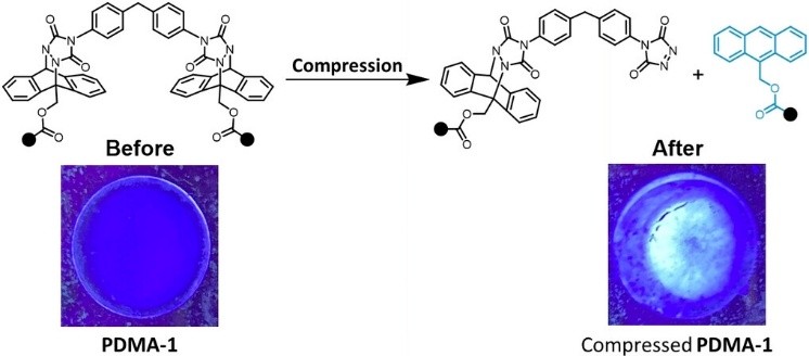 Force-responsive molecules that fluoresce under stress enable damage detection. We report a mechanophore, TAD-An, that undergoes a retro-Diels–Alder reaction under ultrasonication or compression. Compared to MAL-An, TAD-An degrades faster due to its weaker C–N bond (1.59×10⁻⁵ vs. 1.40×10⁻⁵ min⁻¹). Embedded in crosslinked polymers, TAD-An serves as a fluorescent probe for visualizing mechanical damage.