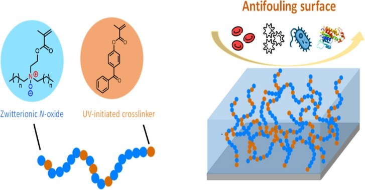 Biofouling limits the performance of medical and sensing devices, and PEG alternatives are needed due to rising allergy concerns. This study introduces poly(amine oxide) (PAO) as a biocompatible antifouling material. Alkyl-substituted, photo-cross-linked PAO coatings on silicon surfaces resist protein adsorption, bacterial attachment, and blood cell adhesion, showing strong potential for biomedical use.