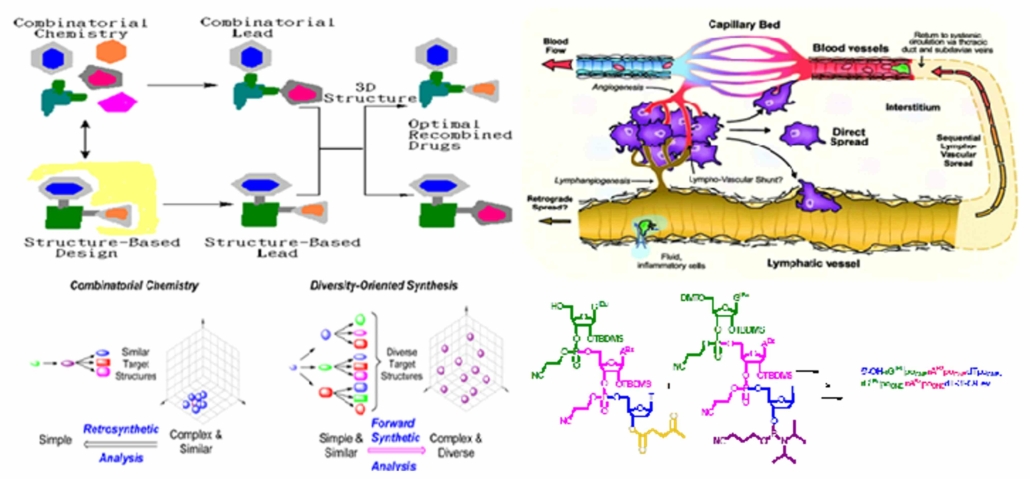 研究成果Chung-Ming Sun research