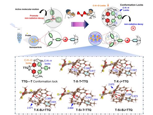 CYH_JACS_Research_Highlights